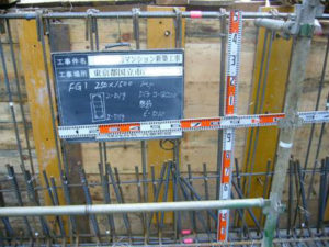 FG1 250×1500 上端筋2-D19 下端筋2-D19 ｽﾀﾗｯﾌﾟ D13-□-@200 腹筋 6-D10